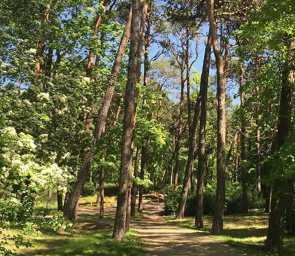 Apartament Nadmorski * Gdańsk